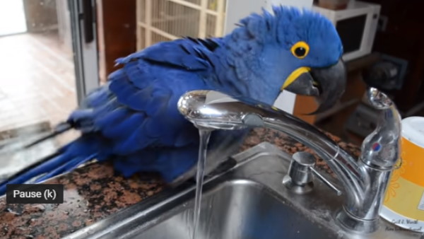 'भाई मुझे भी नहाना है'