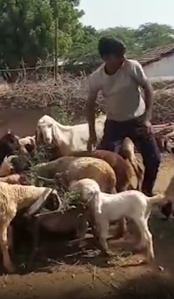 जयपुर जाकर कोचिंग भी की जयपुर जाकर कोचिंग भी की