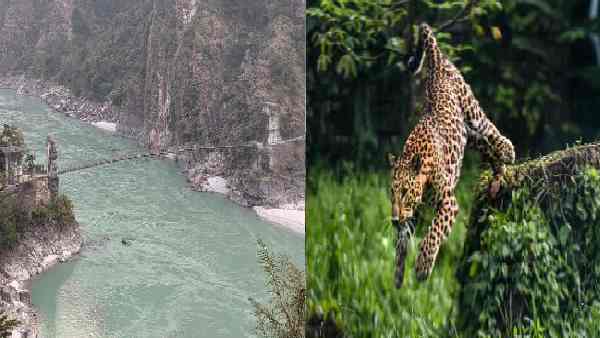 'मैन वर्सेज वाइल्ड' की सच्ची घटना