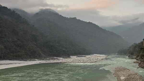 नदी में बहकर घने जंगल में पहुंच गया