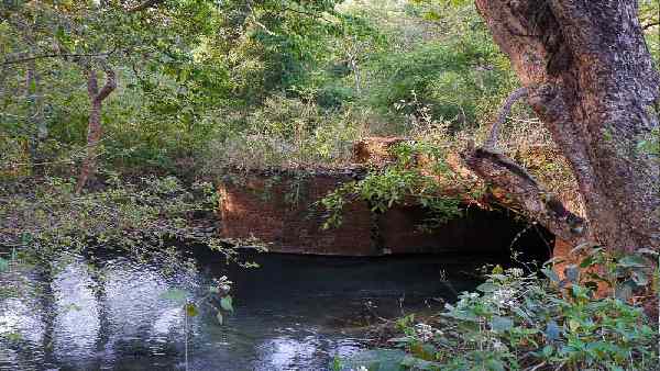 तीसरे दिन हरिद्वार में गंगा की दूसरी छोड़ पहुंचा था 