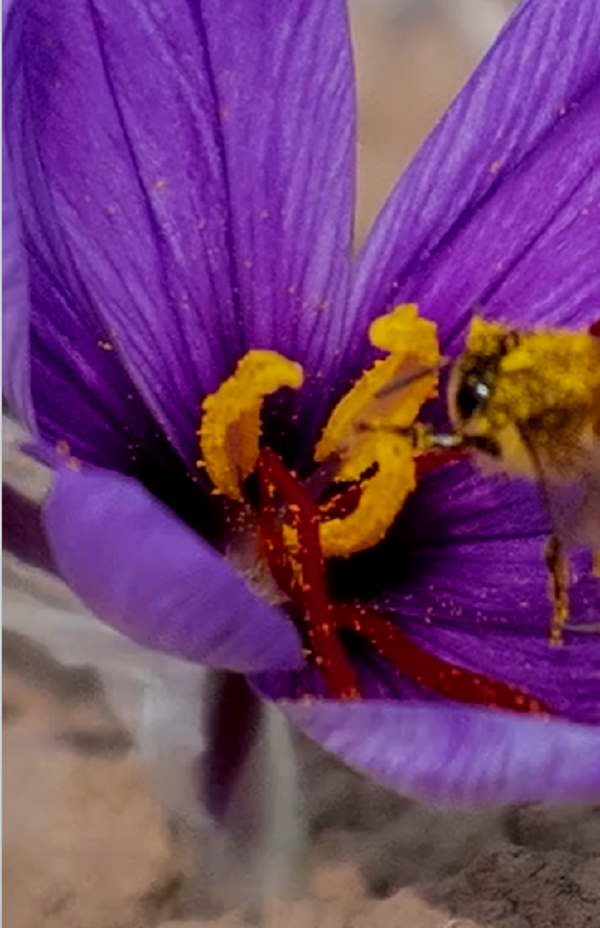 इस बार टूट गया 30 साल का रिकॉर्ड