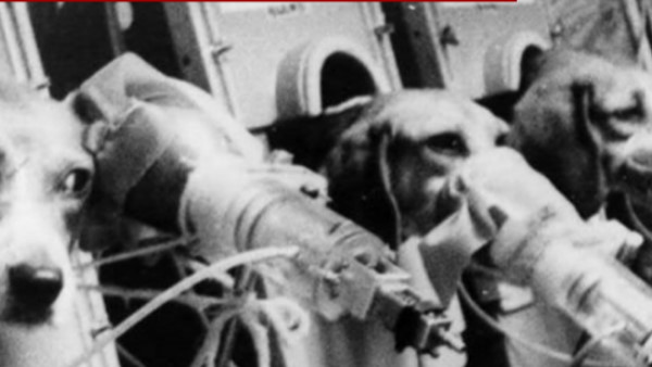 2016 में भी सामने आई थी ऐसी तस्वीर