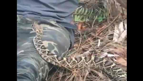 शख्स की चतुराई की लोग कर रहे हैं तारीफ