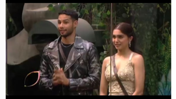 उमर पर भड़के सलमान खान