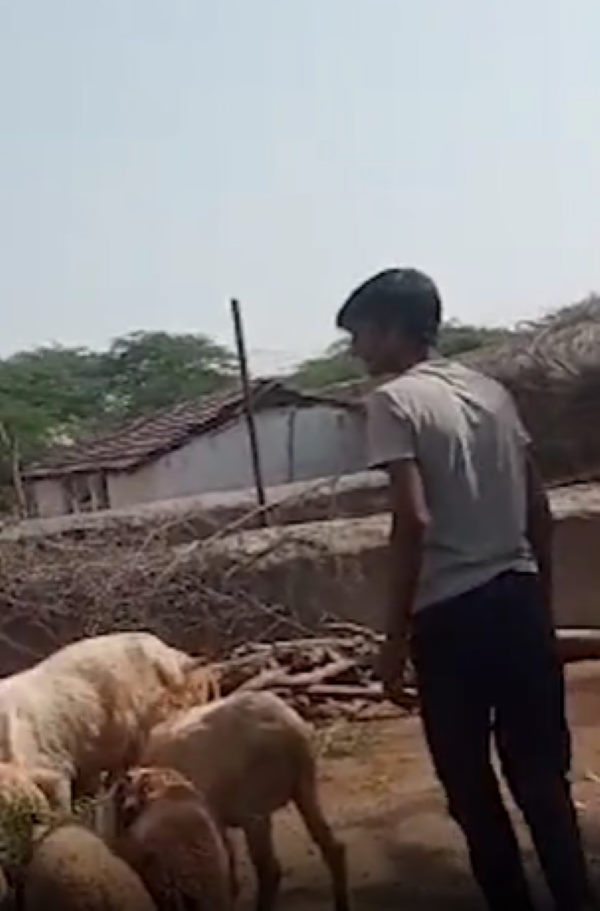 135 अंक लाने का टारगेट था 135 अंक लाने का टारगेट था