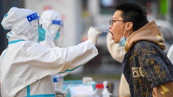 12 प्रांतों में फैला वायरस