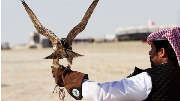 इमरान खान सरकार ने दी इजाजत इमरान खान सरकार ने दी इजाजत