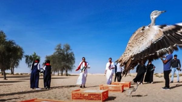 14 सदस्यों को शिकार की इजाजत 14 सदस्यों को शिकार की इजाजत