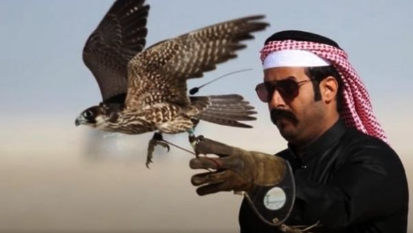 कतर के प्रधानमंत्री भी करेंगे शिकार कतर के प्रधानमंत्री भी करेंगे शिकार