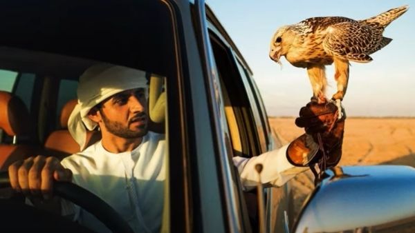 सेक्स पावर बढ़ाने के लिए शिकार सेक्स पावर बढ़ाने के लिए शिकार