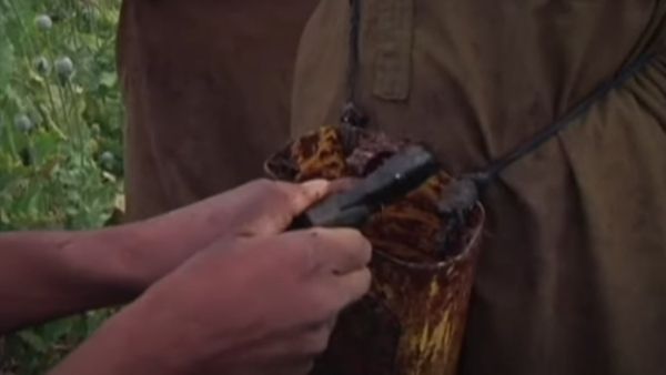 रिकॉर्ड मात्रा में अफीम उत्पादन