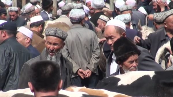 दिल में भरा था दहशत