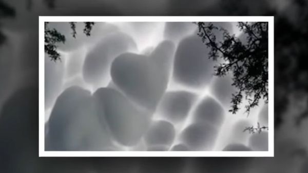 तेज हवा के साथ भयानक बारिश तेज हवा के साथ भयानक बारिश