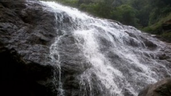 सेल्फी लेने के दौरान झरने के साथ बहा