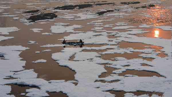 यमुना में प्रदूषण के लिए कौन है जिम्मेदार ?