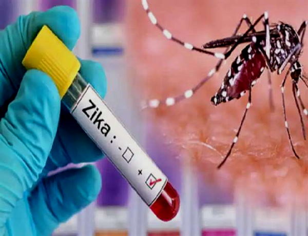 कोरोनावायरस से ज्यादा जीकावायरस का खौफ कोरोनावायरस से ज्यादा जीकावायरस का खौफ