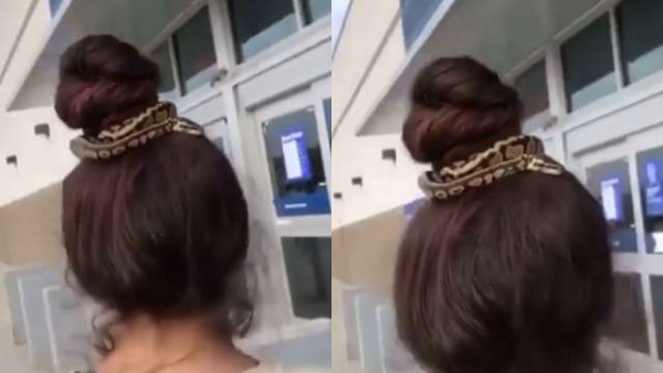 जूड़े को सांप से बांधकर मॉल में घुसी महिला जूड़े को सांप से बांधकर मॉल में घुसी महिला