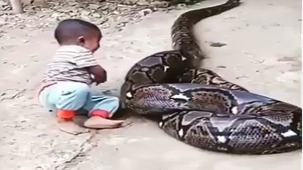 बच्चे का खतरनाक खेल बच्चे का खतरनाक खेल