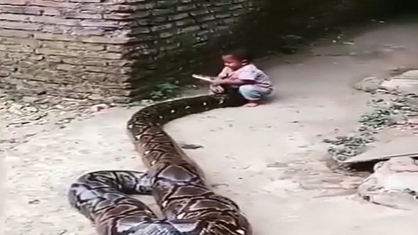 वीडियो हो रहा है वायरल वीडियो हो रहा है वायरल