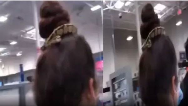 इस अटपटे जूड़े पर नहीं गई किसी की नजर इस अटपटे जूड़े पर नहीं गई किसी की नजर