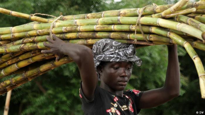 wto panel tells india to comply with trade rules on sugar wto panel tells india to comply with trade rules on sugar