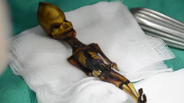 2003 में मिला था कंकाल