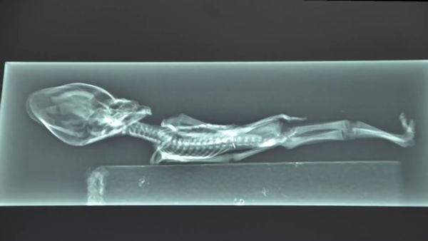 2013 में बनी डॉक्यूमेंट्री