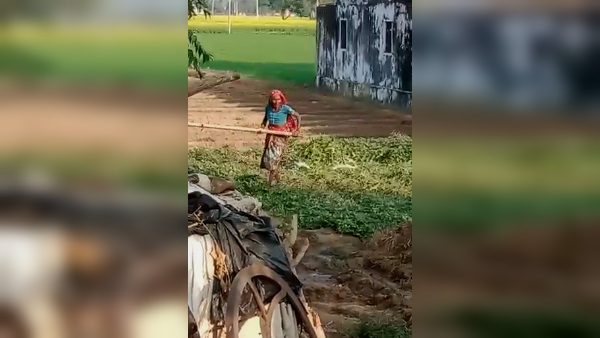 बोली-खोपड़ी में डंडा मारुंगी