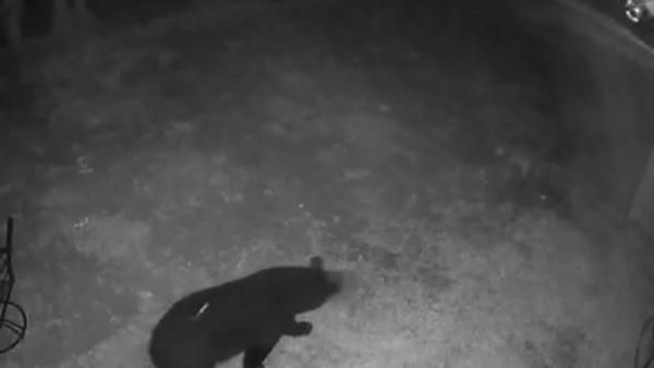 28 दिनों तक बोतल में फंसा रहा मुंह