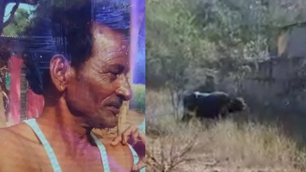 भैंसे को रास्ते में टहला रहा था
