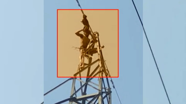 आखिर में अधिकारियों ने भी मानी हार