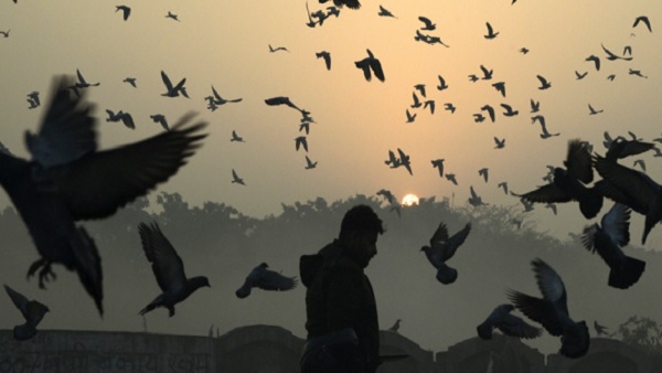 सबको काफी सचेत रहने की जरूरत सबको काफी सचेत रहने की जरूरत