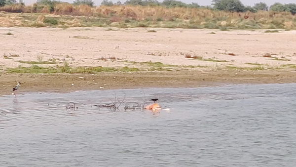 नदी में बहते अधजले शव नदी में बहते अधजले शव