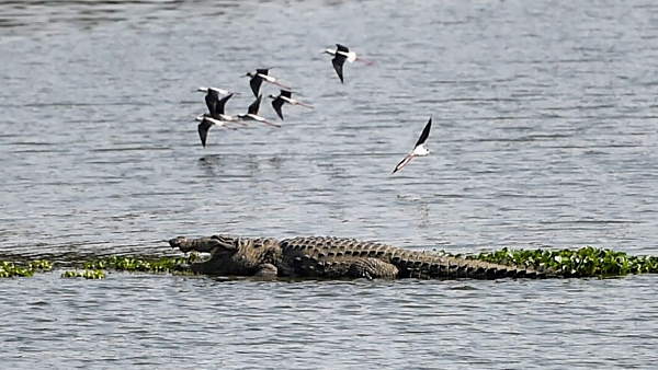 'वो तब तक मुक्के मारता रहा, जब तक...'
