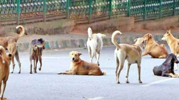 सोसायटी ने दी सफाई सोसायटी ने दी सफाई