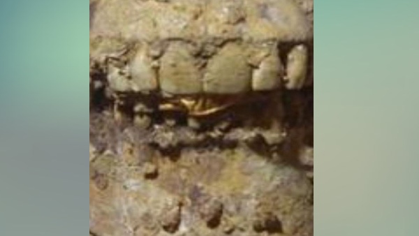 ममी से मिली सोने की जीभ की कंडीशन अच्‍छी