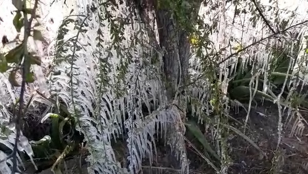 किसानों को सलाह