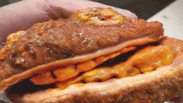 मछली की है ये खासियत 