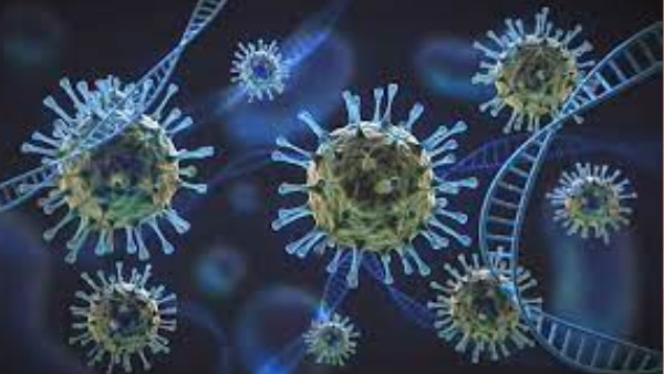 फंगल संक्रमण-म्यूकोर्मिकोसिस