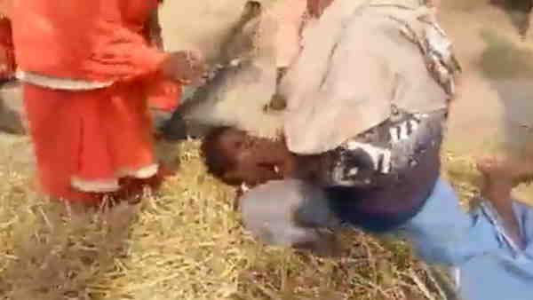 जमीन पर पटककर लगावाई वैक्सीन