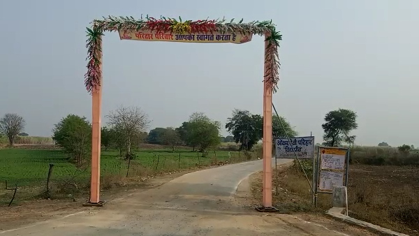 कौन हैं आईएएस तपस्या परिहार