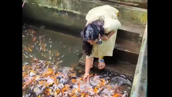 3. मछली के वीडियो ने मारी बाजी