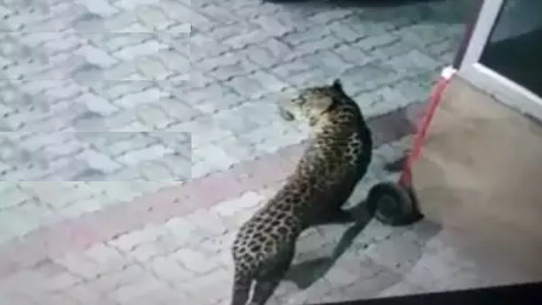 घायलों को अस्पताल में कराया गया भर्ती