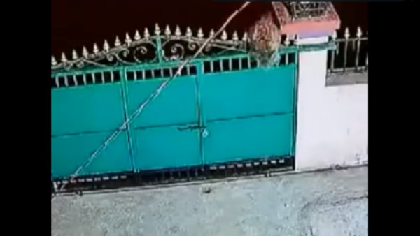 7 फीट ऊंचे गेट को एक छलांग ने पार किया 7 फीट ऊंचे गेट को एक छलांग ने पार किया