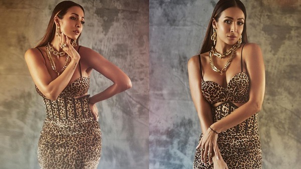 इंडस्ट्री में स्टाइल आइकन हैं मलाइका