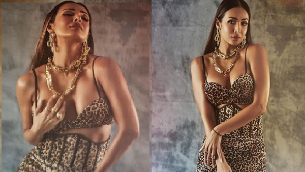 मलाइका ने लेपर्ड आउटफिट में कराया फोटोशूट