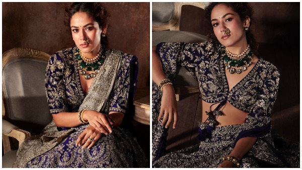 देवर ने भी की मीरा राजपूत की तारीफ 