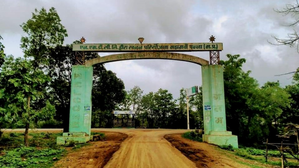 पन्ना में कितने फीट नीचे मिलता है डायमंड?