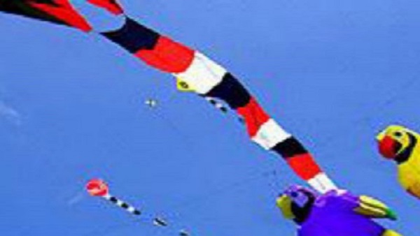 जनवरी 2022 जनवरी 2022